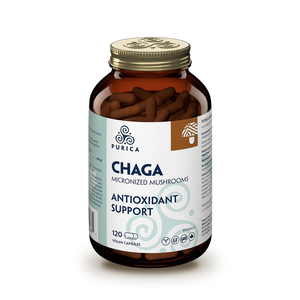 Purica Chaga